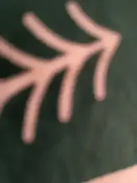 Desi_seductress webcam model stream image