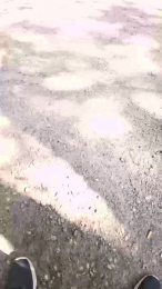 niconice87 webcam model stream image