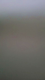 Nazsexy webcam model stream image