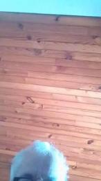 aidi5 webcam model stream image