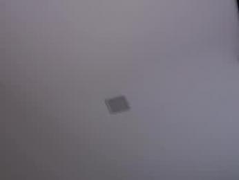 pazrapackii webcam model stream image