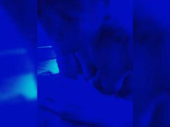 Kaifyli34 webcam bongacams model stream image