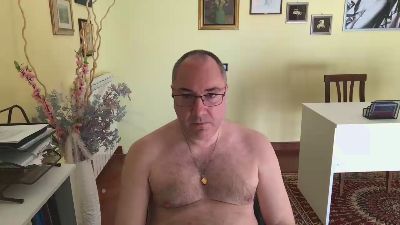 icar0 webcam model stream image