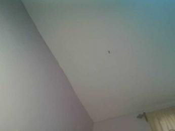 Sexykitten1 webcam bongacams model stream image