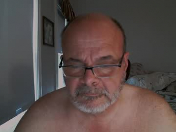 bearsinmass2 webcam model stream image