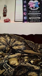 David_in_702 webcam model stream image