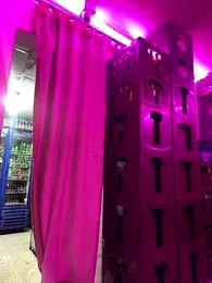 Hot_beauty__ webcam stripchat model stream image