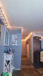 bradcjr webcam model stream image