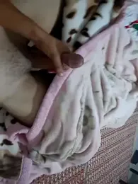 Hazembahloul webcam model stream image