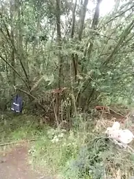 _andytop webcam model stream image