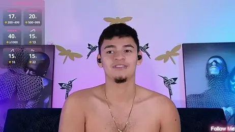 VikoHands webcam model stream image