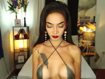 xxxqueenoftransxxx webcam model stream image