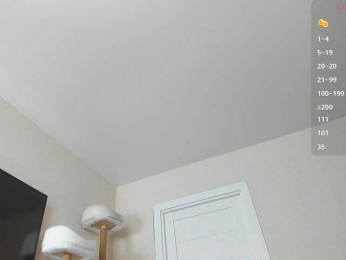 A_Lisa webcam model stream image