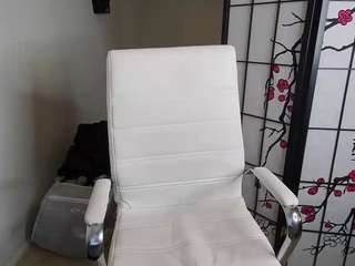 museum0fcum webcam model stream image