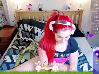 jenny_style webcam preview