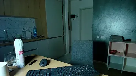 VixenVibesX webcam model stream image