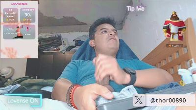 thor496 webcam preview