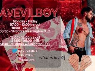 davevillboy webcam model stream image