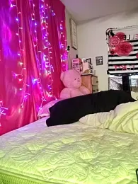 SpiderRose webcam model stream image