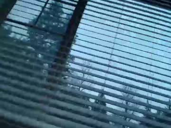 bluezed4 webcam model stream image