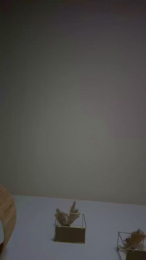 Twentytwo95 webcam model stream image