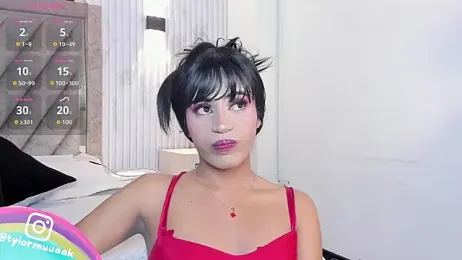 Taylor_Harveey webcam model stream image