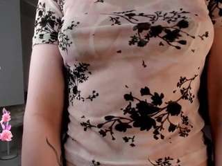 silverdyer webcam model stream image