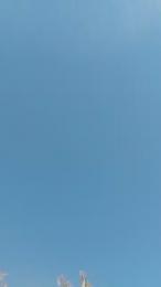 aaaalamastela webcam model stream image