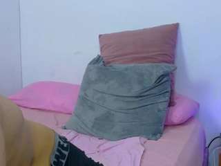 skook-gray webcam model stream image