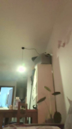 mateolavozsgma2 webcam model stream image