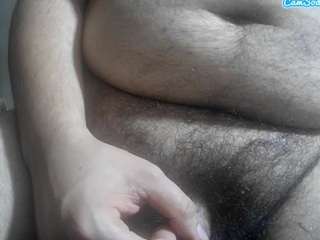 naviworks webcam model stream image