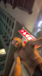 Bighairytopping webcam model stream image