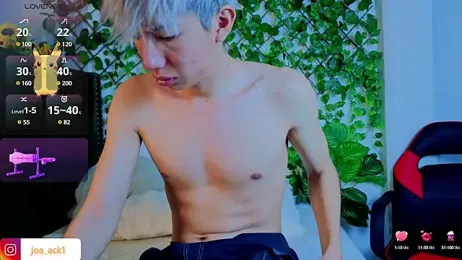 Levii_Ackermann webcam model stream image