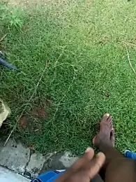 dolphiinn webcam model stream image