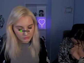 stella_pure webcam model stream image