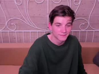 willsinn_ webcam model stream image