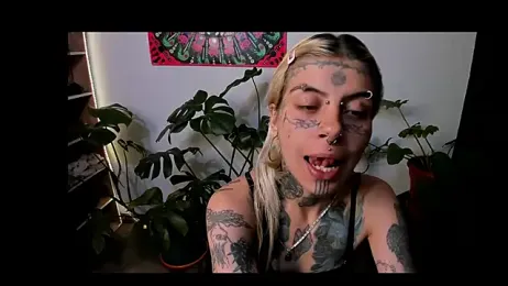 handipandapok webcam model stream image