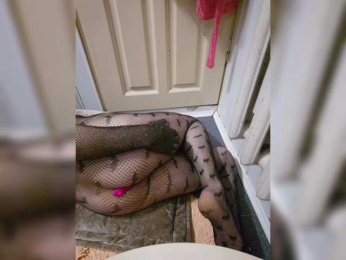 Alex1Kirra1 webcam model stream image