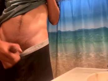 leancvp webcam model stream image