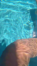 Stella804 webcam model stream image