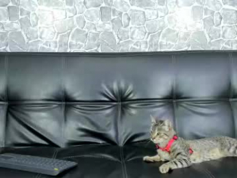 alejo_peverell webcam model stream image