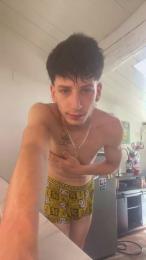 Leonardo250606 webcam model stream image
