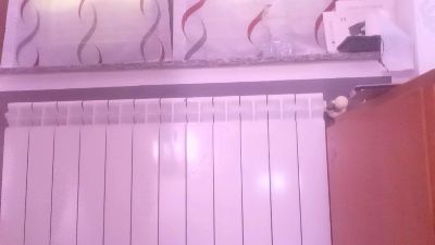 stella197 webcam model stream image
