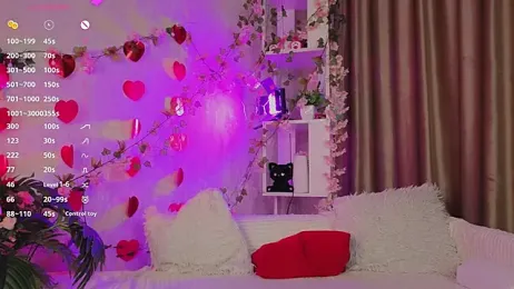 WeiSusi webcam model stream image