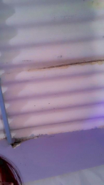 Electra_porn webcam model stream image