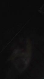 MRB45 webcam model stream image