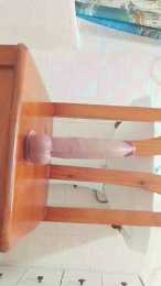 culotragon30sex webcam model stream image