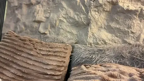 GenesisCastillano webcam stripchat model stream image