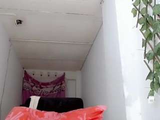 dream-catcherts webcam model stream image