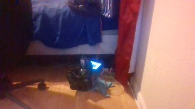 Silkworm_Piper webcam model stream image